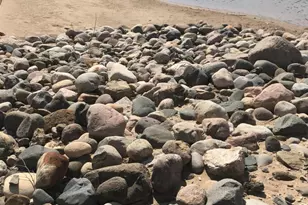 18269 Blue Heron Dr E, Northville, MI 48168 - Photo 49