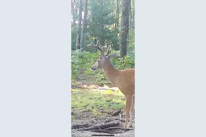 10830 W 3 Mile Road, Branch, MI 49402 - Photo 31