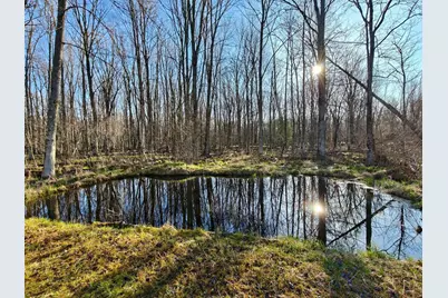 10830 W 3 Mile Road, Branch, MI 49402 - Photo 15