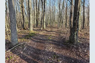 10830 W 3 Mile Road, Branch, MI 49402 - Photo 17