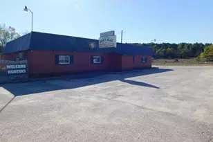 9567 Chippewa Hwy, Bear Lake, MI 49614 - Photo 1