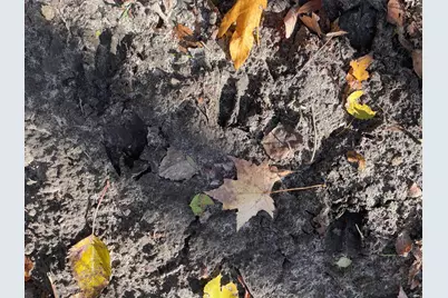 104th Avenue, Grand Junction, MI 49056 - Photo 47