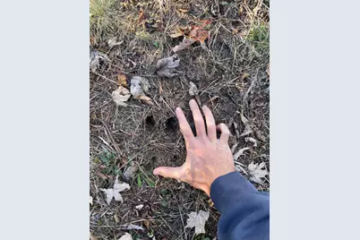 104th Avenue, Grand Junction, MI 49056 - Photo 15