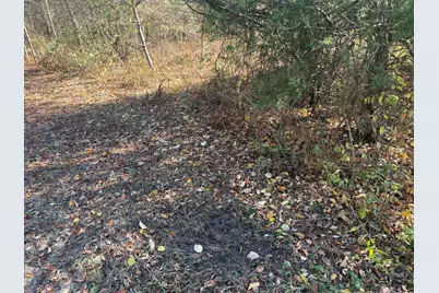 104th Avenue, Grand Junction, MI 49056 - Photo 13