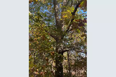 104th Avenue, Grand Junction, MI 49056 - Photo 23