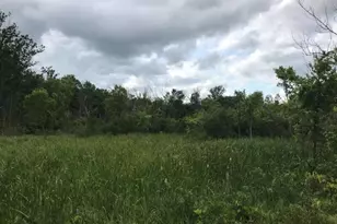 14551 Algoma Ave NE, Cedar Springs, MI 49319 - Photo 1