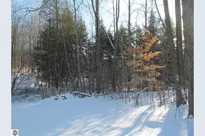 17166 50th Avenue, Marion, MI 49665 - Photo 19