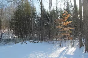 17166 50th Ave, Marion, MI 49665 - Photo 19