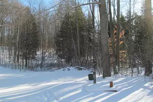 17166 50th Ave, Marion, MI 49665 - Photo 23