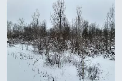 10886 Douglas Drive, Allendale, MI 49401 - Photo 55