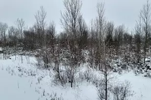 10886 Douglas Dr, Allendale, MI 49401 - Photo 55