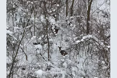 10886 Douglas Drive, Allendale, MI 49401 - Photo 47