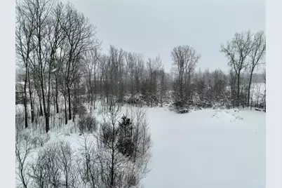 10886 Douglas Drive, Allendale, MI 49401 - Photo 51