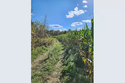 2500 W Quarter Line Road, Coleman, MI 48618 - Photo 49