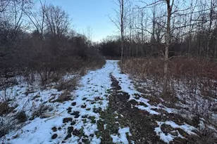 2500 W Quarter Line Rd, Coleman, MI 48618 - Photo 159