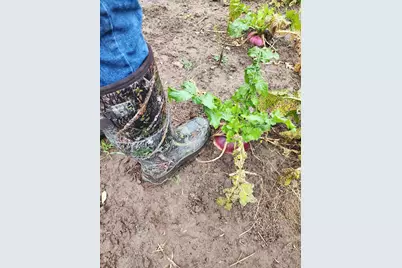 2500 W Quarter Line Road, Coleman, MI 48618 - Photo 61