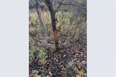 2500 W Quarter Line Road, Coleman, MI 48618 - Photo 195