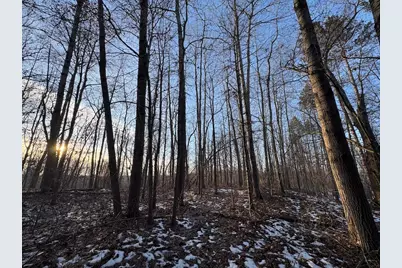 2500 W Quarter Line Road, Coleman, MI 48618 - Photo 125