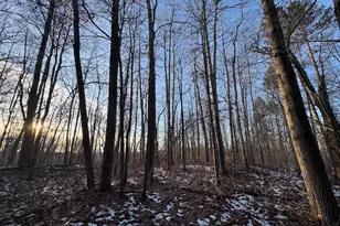 2500 W Quarter Line Rd, Coleman, MI 48618 - Photo 125