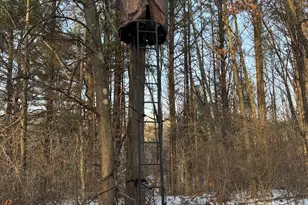 2500 W Quarter Line Rd, Coleman, MI 48618 - Photo 119