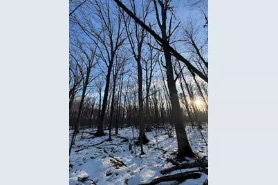 2500 W Quarter Line Road, Coleman, MI 48618 - Photo 123