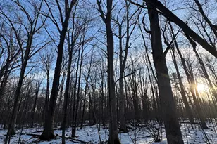 2500 W Quarter Line Rd, Coleman, MI 48618 - Photo 123