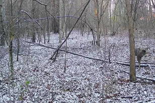 2500 W Quarter Line Rd, Coleman, MI 48618 - Photo 199