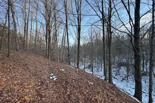 2500 W Quarter Line Rd, Coleman, MI 48618 - Photo 129