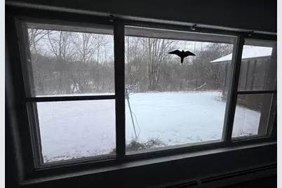 2500 W Quarter Line Road, Coleman, MI 48618 - Photo 21