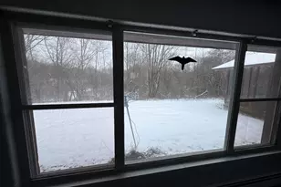 2500 W Quarter Line Rd, Coleman, MI 48618 - Photo 21