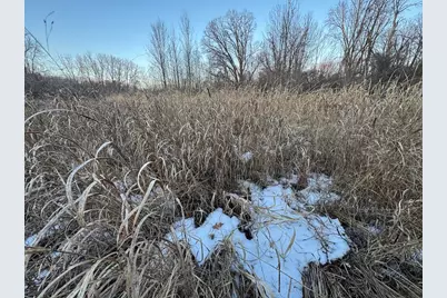 2500 W Quarter Line Road, Coleman, MI 48618 - Photo 171