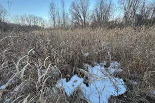 2500 W Quarter Line Rd, Coleman, MI 48618 - Photo 171