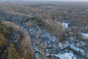 2500 W Quarter Line Rd, Coleman, MI 48618 - Photo 69