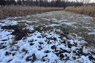 2500 W Quarter Line Rd, Coleman, MI 48618 - Photo 149