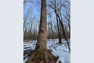 2500 W Quarter Line Road, Coleman, MI 48618 - Photo 121