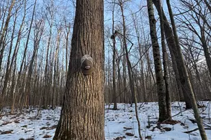 2500 W Quarter Line Rd, Coleman, MI 48618 - Photo 121