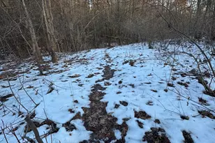 2500 W Quarter Line Rd, Coleman, MI 48618 - Photo 133