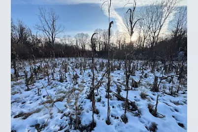 2500 W Quarter Line Road, Coleman, MI 48618 - Photo 101