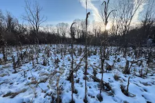 2500 W Quarter Line Rd, Coleman, MI 48618 - Photo 101