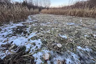 2500 W Quarter Line Rd, Coleman, MI 48618 - Photo 153