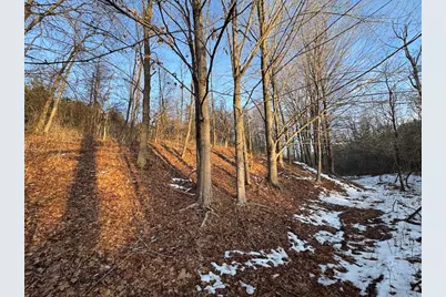 2500 W Quarter Line Road, Coleman, MI 48618 - Photo 127