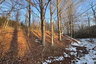 2500 W Quarter Line Rd, Coleman, MI 48618 - Photo 127