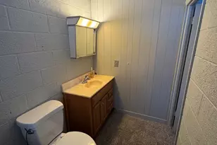 2500 W Quarter Line Rd, Coleman, MI 48618 - Photo 19