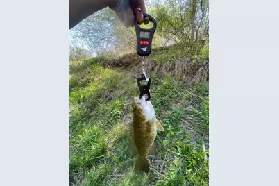 2500 W Quarter Line Road, Coleman, MI 48618 - Photo 189