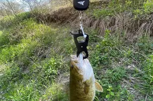 2500 W Quarter Line Rd, Coleman, MI 48618 - Photo 189