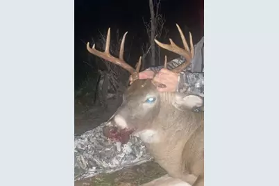 2500 W Quarter Line Road, Coleman, MI 48618 - Photo 181