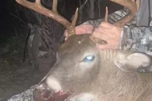 2500 W Quarter Line Rd, Coleman, MI 48618 - Photo 181