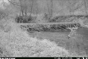 2500 W Quarter Line Rd, Coleman, MI 48618 - Photo 179