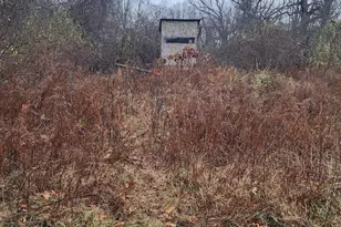 2500 W Quarter Line Rd, Coleman, MI 48618 - Photo 59