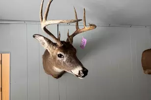 2500 W Quarter Line Rd, Coleman, MI 48618 - Photo 33